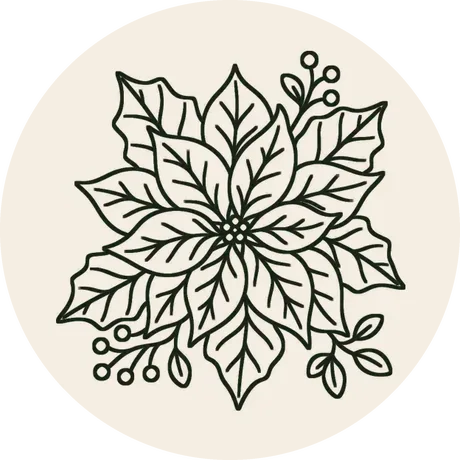 Risco 064, Flor de Natal (bico-de-papagaio), em traço de contorno para bordar no bastidor de 8 cm de diâmetro